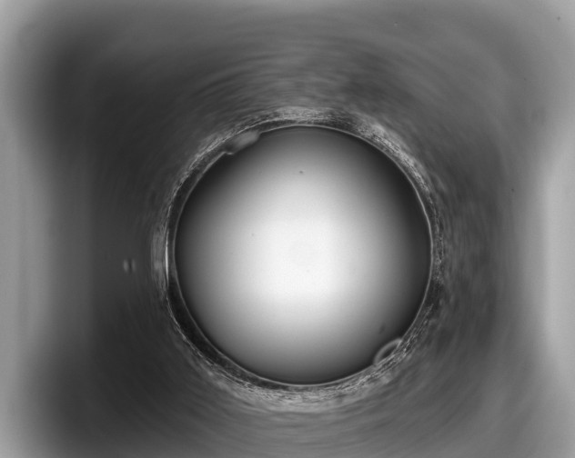 X0000097870011200803211323