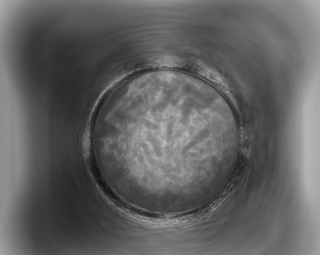 X0000097870012200803211323