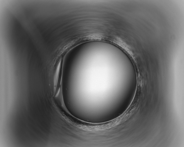 X0000097870013200803211323