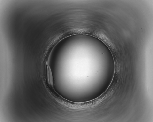 X0000097870014200803211323