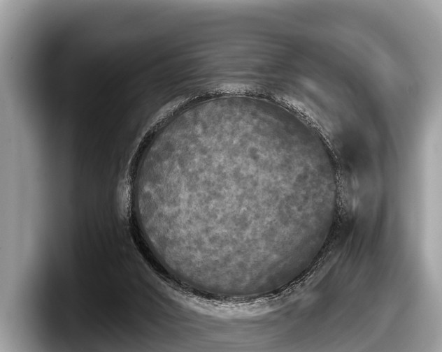 X0000097870016200803211323