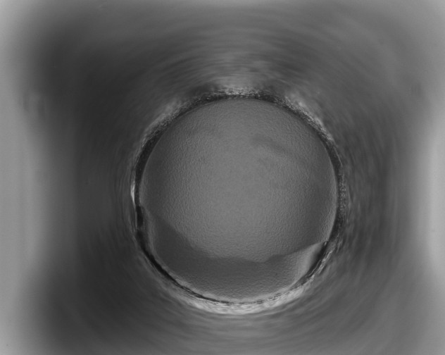 X0000097870019200803211323