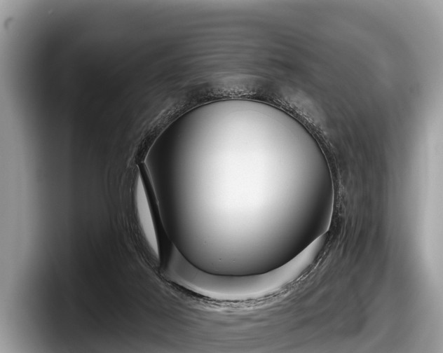X0000097870021200803211323
