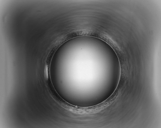 X0000097870022200803211323