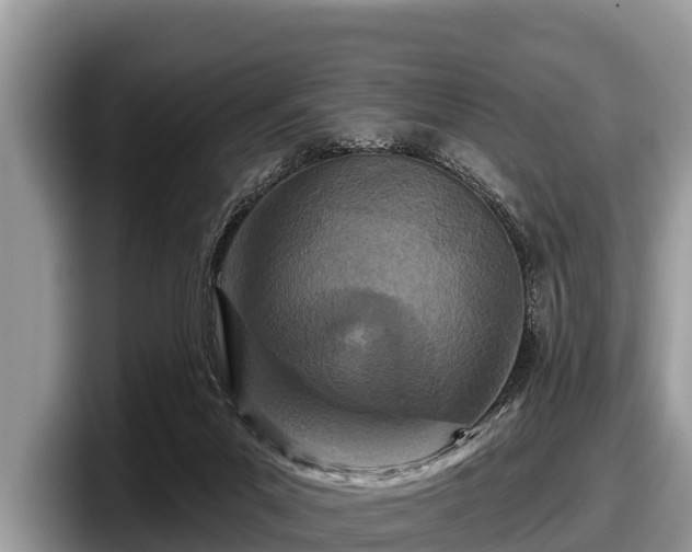 X0000097870023200803211323