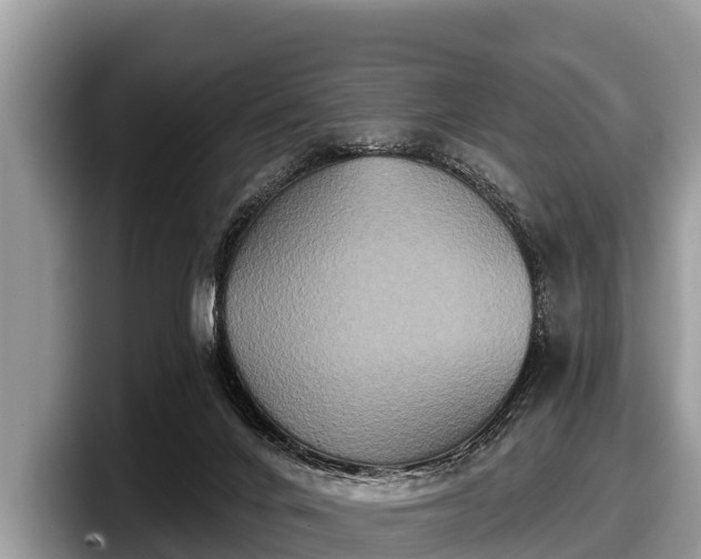 X0000097870024200803211323