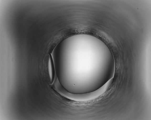 X0000097870025200803211323
