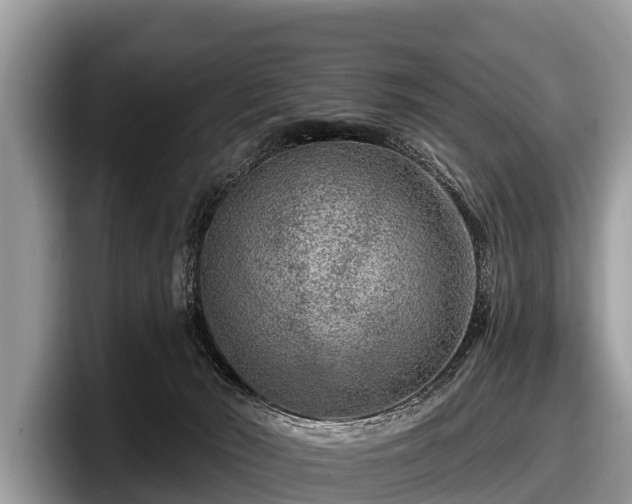 X0000097870030200803211323