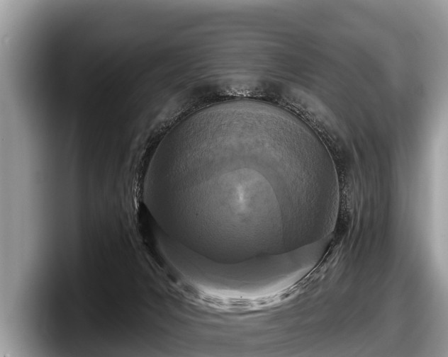 X0000097870031200803211323