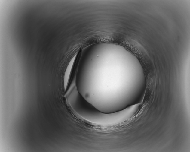 X0000097870041200803211323