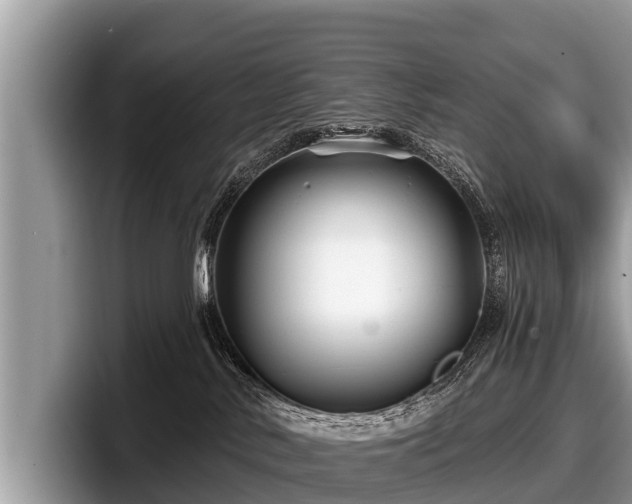 X0000097870042200803211323