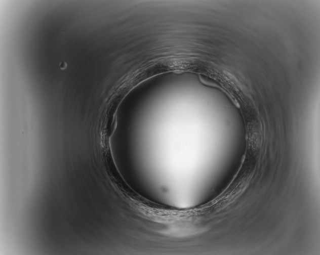 X0000097870044200803211323