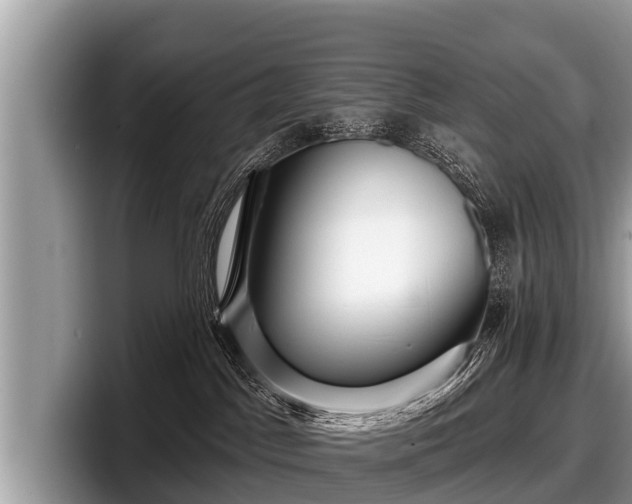 X0000097870045200803211323