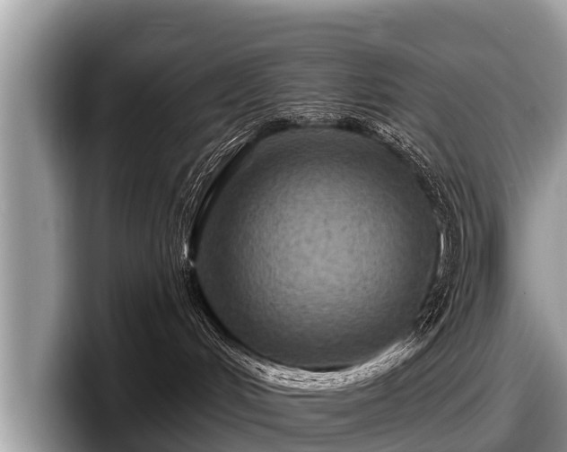 X0000097870048200803211323