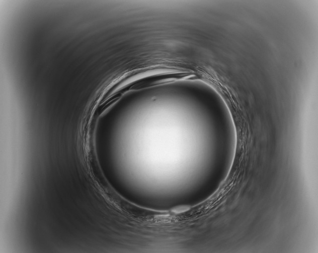 X0000097870050200803211322