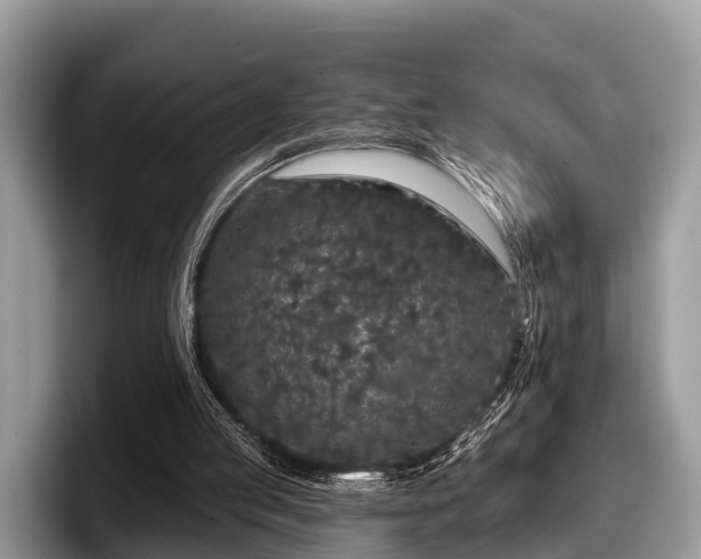 X0000097870053200803211322