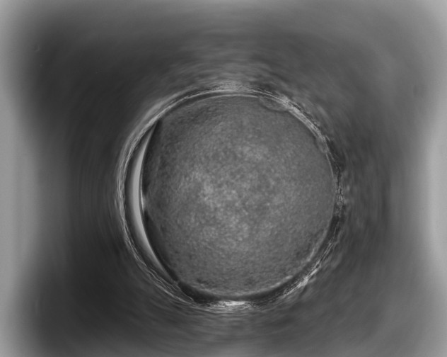 X0000097870055200803211322