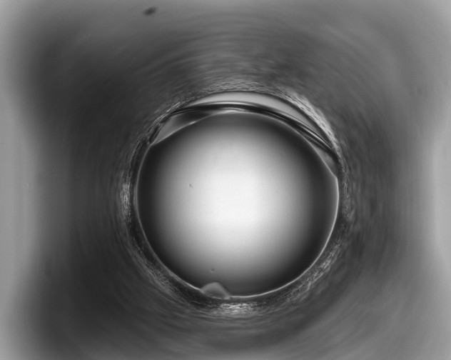 X0000097870057200803211322