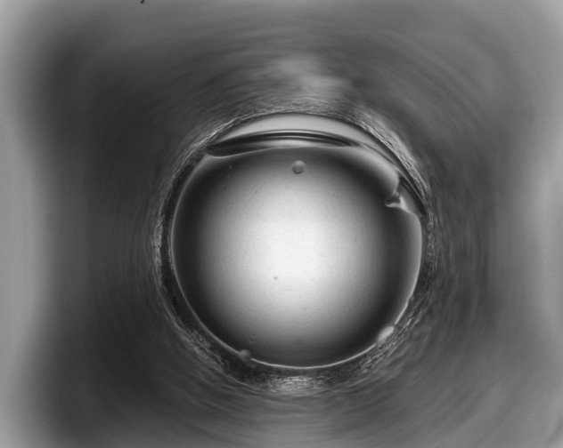 X0000097870058200803211322