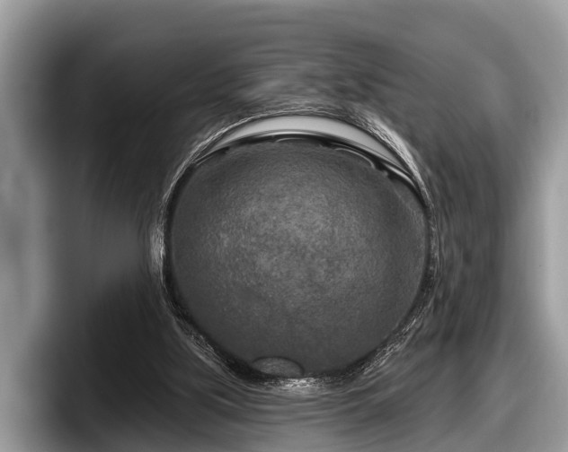 X0000097870059200803211322