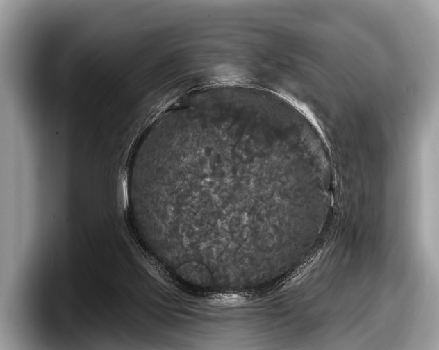 X0000097870061200803211322