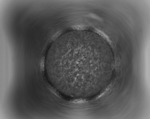 X0000097870065200803211322
