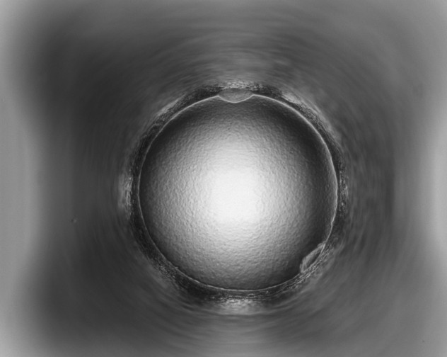 X0000097870066200803211322