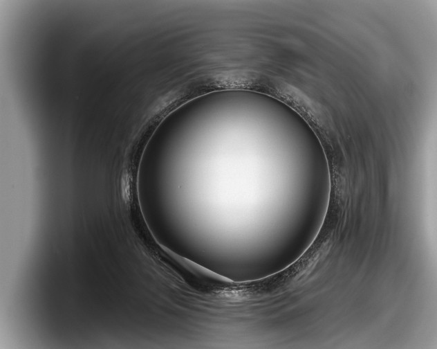 X0000097870071200803211322
