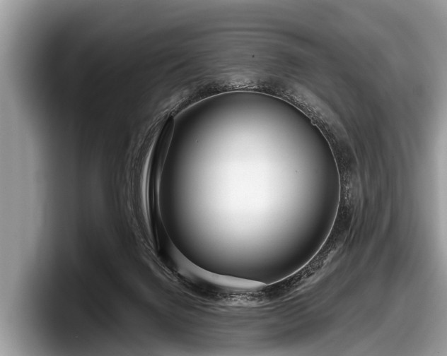 X0000097870072200803211322