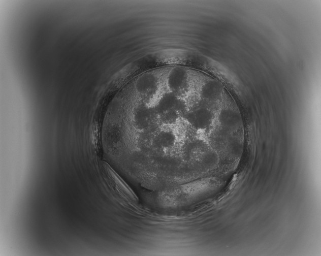 X0000097870073200803211322