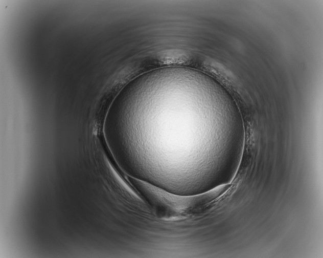 X0000097870074200803211322