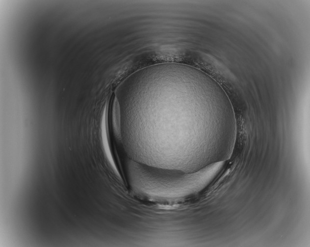 X0000097870080200803211323