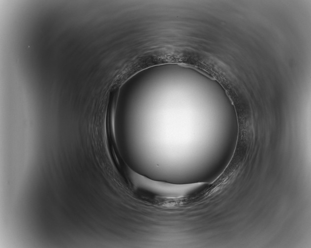 X0000097870088200803211323