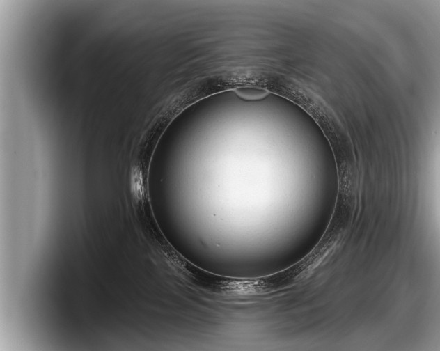 X0000097870089200803211323