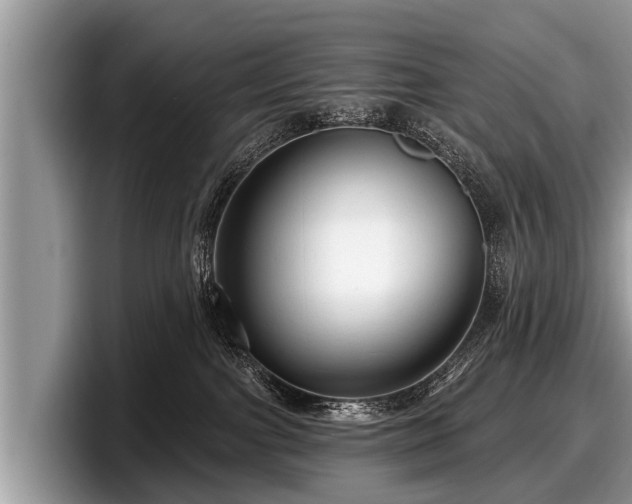 X0000097870091200803211323