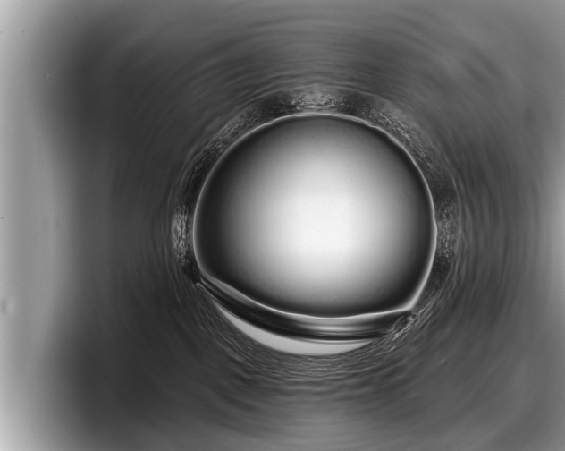 X0000097870093200803211323