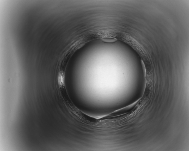 X0000097870095200803211323