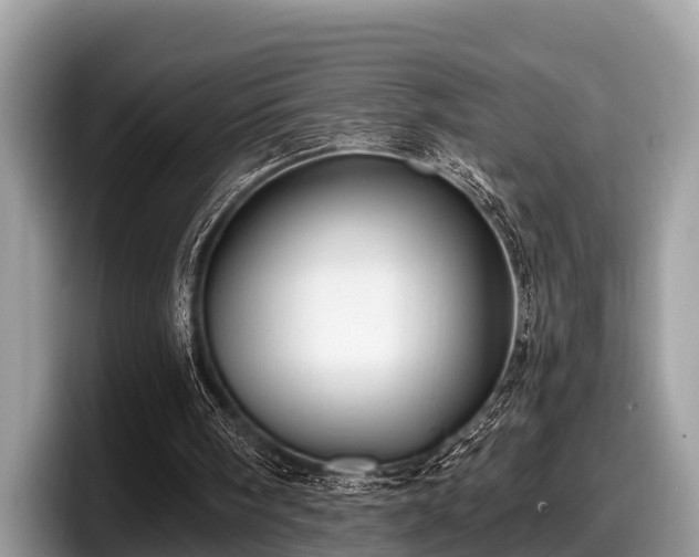 X0000097870098200803211322