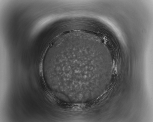 X0000097870099200803211322