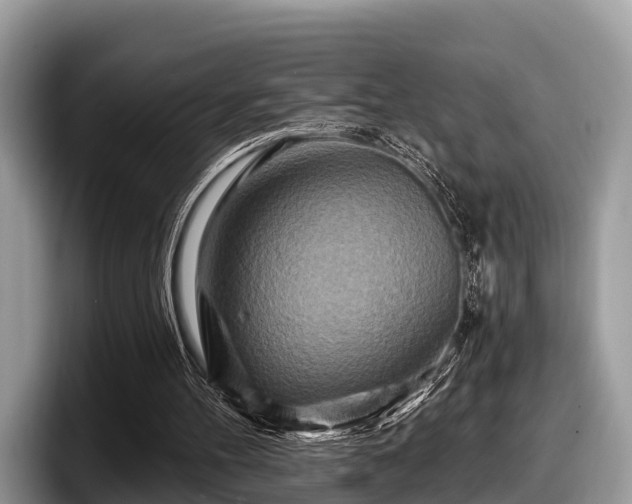 X0000097870100200803211322