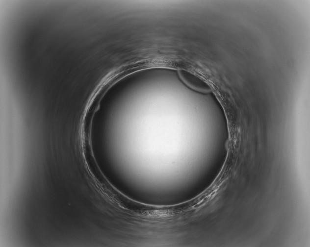 X0000097870102200803211322