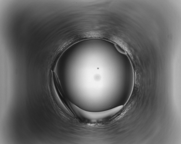 X0000097870109200803211322