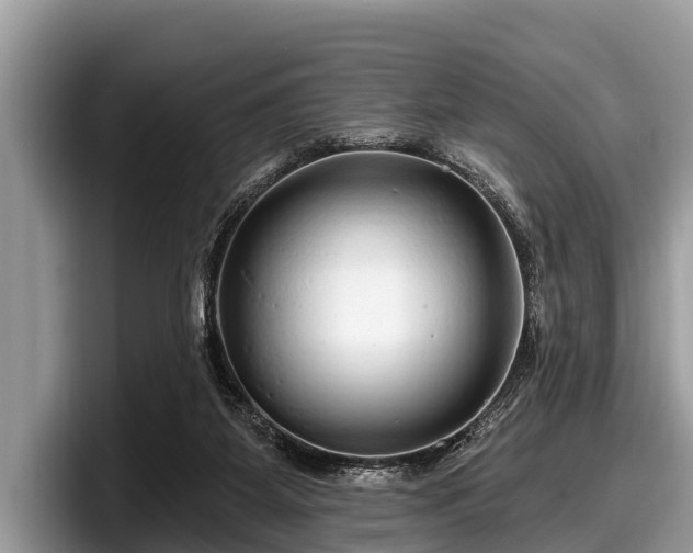X0000097870115200803211322