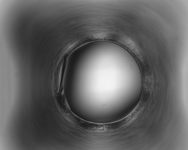 X0000097870116200803211322
