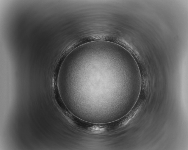 X0000097870117200803211322