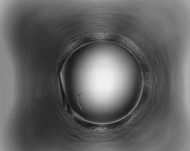 X0000097870119200803211322