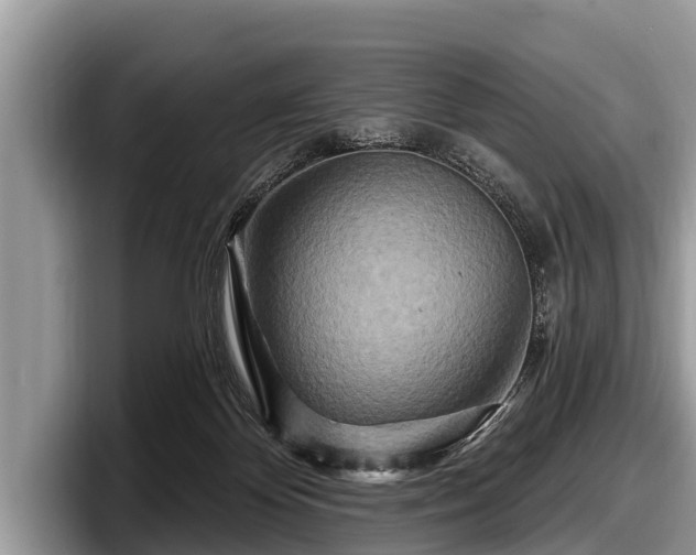 X0000097870124200803211322