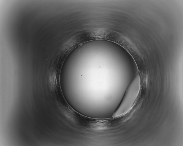 X0000097870128200803211322