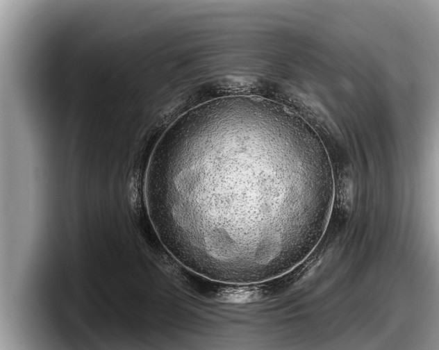 X0000097870131200803211322