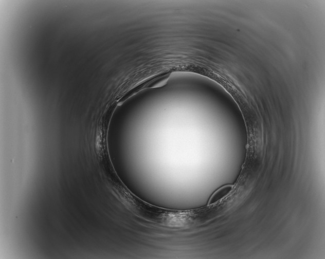 X0000097870134200803211322